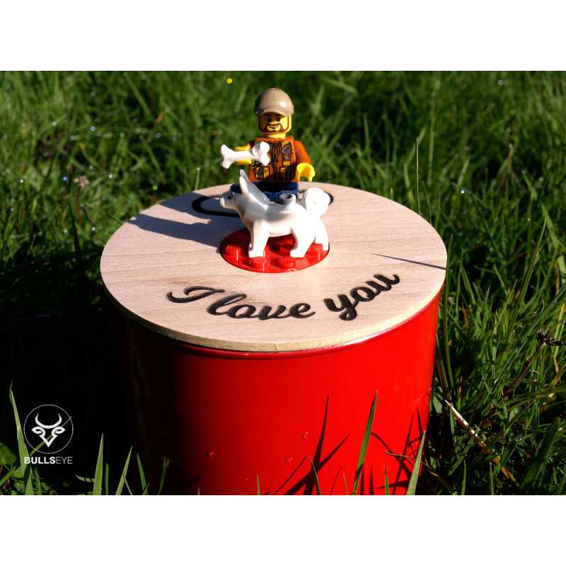 Display Lego man and dog