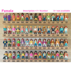 PLAYMOBIL® theme box engraved with name and/or personal message ❤