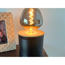 edison LED light