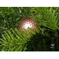 Decorative golf balls